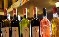 vintest2013