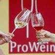 Peste 44.000 de vizitatori la ProWein 2013