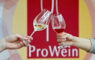 Peste 44.000 de vizitatori la ProWein 2013