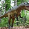 Județul Brașov își îmbogățește gama de servicii turistice cu un “Dino Parc”