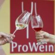 Producătorii de vinuri din România se pregătesc pentru ProWein 2016